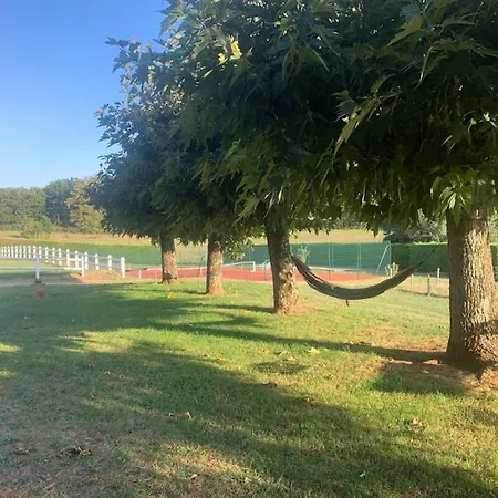 Perigord 3etoiles 12-16 Personnes Piscine -tennis Holiday home Capelou
